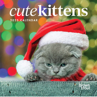 2025 Calendar Cute Kittens Square Wall Browntrout A04152