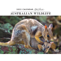 2025 Calendar Steve Parish Australian Wildlife Horizontal Wall Browntrout A04169