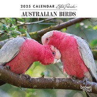 2025 Calendar Steve Parish Australian Birds Mini Wall Browntrout A04206