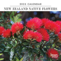 2025 Calendar New Zealand Native Flowers Mini Wall Browntrout A05104