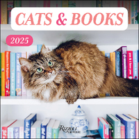 2025 Calendar Cats & Books Square Wall Andrews McMeel AM44748