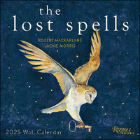 2025 Calendar The Lost Spells Square Wall Andrews McMeel AM44984