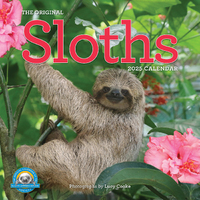 2025 Calendar Original Sloths Square Wall Workman Publishing