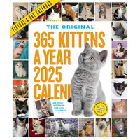 2025 Calendar 365 Kittens-A-Year Picture-A-Day Wall Workman Publishing