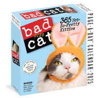 2025 Calendar Bad Cat Page-A-Day Boxed Workman Publishing