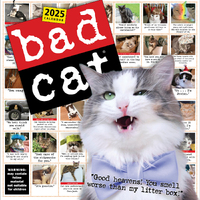 2025 Calendar Bad Cat Square Wall Workman Publishing