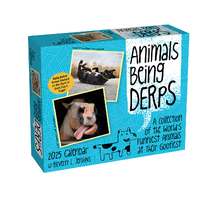 2025 Calendar Animals Being Derps Day-to-Day Boxed Andrews McMeel AM89296