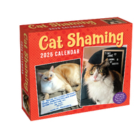 2025 Calendar Cat Shaming Day-to-Day Boxed Andrews McMeel AM89319