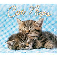 2025 Calendar Cat Naps  Day-to-Day Boxed Sellers Publishing S40799