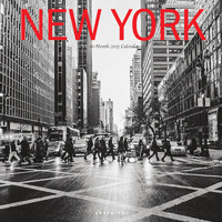 2025 Calendar New York 16-Month Square Wall Graphique GF35719