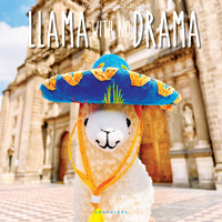 2025 Calendar Llama With No Drama 16-Month Square Wall Graphique GF36853