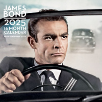 2025 Calendar James Bond 16-Month Square Wall Pyramid I31562