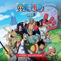 2025 Calendar One Piece Official Square Wall Danilo I71001