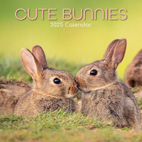 2025 Calendar Cute Bunnies 16-Month Square Wall Gifted Stationery GSC25000