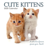 2025 Calendar Cute Kittens 16-Month Square Wall Gifted Stationery GSC25001