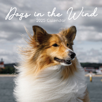 2025 Calendar Dogs in the Wind 16-Month Square Wall Gifted Stationery GSC25017