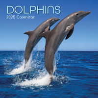 2025 Calendar Dolphins 16-Month Square Wall Gifted Stationery GSC25018