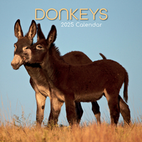 2025 Calendar Donkeys 16-Month Square Wall Gifted Stationery GSC25019