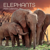 2025 Calendar Elephants 16-Month Square Wall Gifted Stationery GSC25026