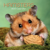 2025 Calendar Hamsters 16-Month Square Wall Gifted Stationery GSC25059