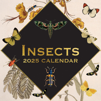 2025 Calendar Insects 16-Month Square Wall Gifted Stationery GSC25078