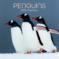 2025 Calendar Penguins 16-Month Square Wall Gifted Stationery GSC25151