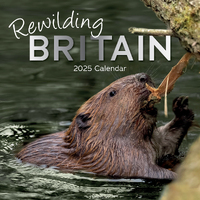 2025 Calendar Rewilding Britain 16-Month Square Wall Gifted Stationery GSC25172