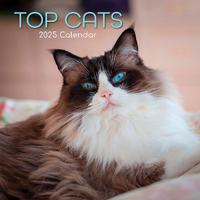 2025 Calendar Top Cats 16-Month Square Wall Gifted Stationery GSC25221