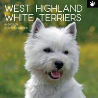 2025 Calendar West Highland White Terriers 16-Month Square Wall Gifted Stationery GSC25242