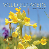 2025 Calendar Wild Flowers 16-Month Square Wall Gifted Stationery GSC25245