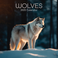 2025 Calendar Wolves 16-Month Square Wall Gifted Stationery GSC25253