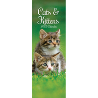 2025 Calendar Cats & Kittens Slim Wall Gifted Stationery GSC25273