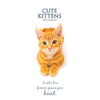 2025 Calendar Cute Kittens Slim Wall Gifted Stationery GSC25276