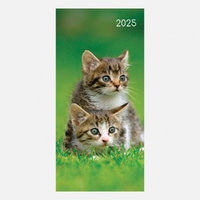 2025 Diary Cats & Kittens Pocket Week to View Gifted Stationery GSC25358