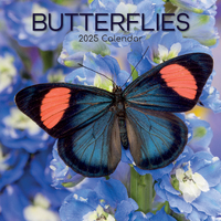 2025 Calendar Butterflies 16-Month Square Wall Gifted Stationery GSC24953