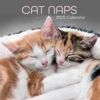 2025 Calendar Cat Naps 16-Month Square Wall Gifted Stationery GSC24960