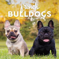 2025 Calendar French Bulldogs Square Wall Paper Pocket CPB17