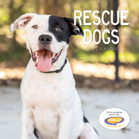 2025 Calendar Rescue Dogs Square Wall Paper Pocket CAB55