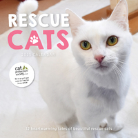 2025 Calendar Rescue Cats Square Wall Paper Pocket CAB49