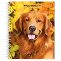 2025 16-Month Planner Golden Retrievers Weekly Engagement Browntrout BT73150