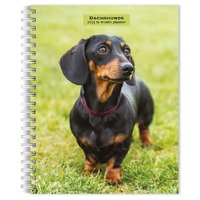 2025 16-Month Planner Dachshunds Weekly Engagement Browntrout BT73174