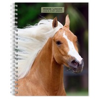 2025 16-Month Planner Horse Lovers Weekly Engagement Browntrout BT73273