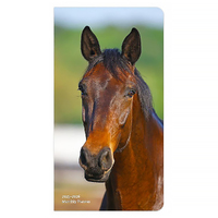 2025-2026 2-Year Planner Horse Lovers Month to View Browntrout BT74348