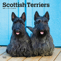 2025 Calendar Scottish Terriers 16-Month Square Wall Browntrout BT75673