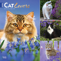 2025 Calendar Cat Lovers 16-Month Square Wall Browntrout BT76793