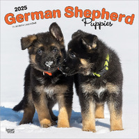 2025 Calendar German Shepherd Puppies 16-Month Square Wall Browntrout BT77004