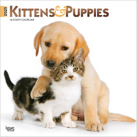 2025 Calendar Kittens & Puppies 16-Month Square Wall Browntrout BT77271