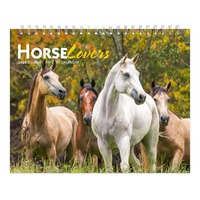 2025 Calendar Horse Lovers Double-View Desk Easel Browntrout BT78476