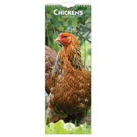 2025 Calendar Chickens Slim Wall Browntrout BT78483