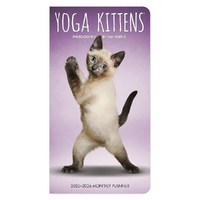 2025-2026 2-Year Planner Yoga Kittens Month to View Browntrout BT79596